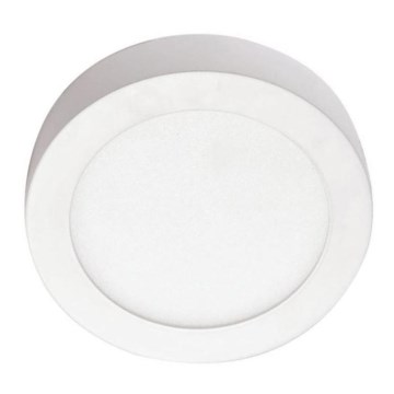 LED Stropna svjetiljka LED/12W/230V 4000K pr. 17,2 cm