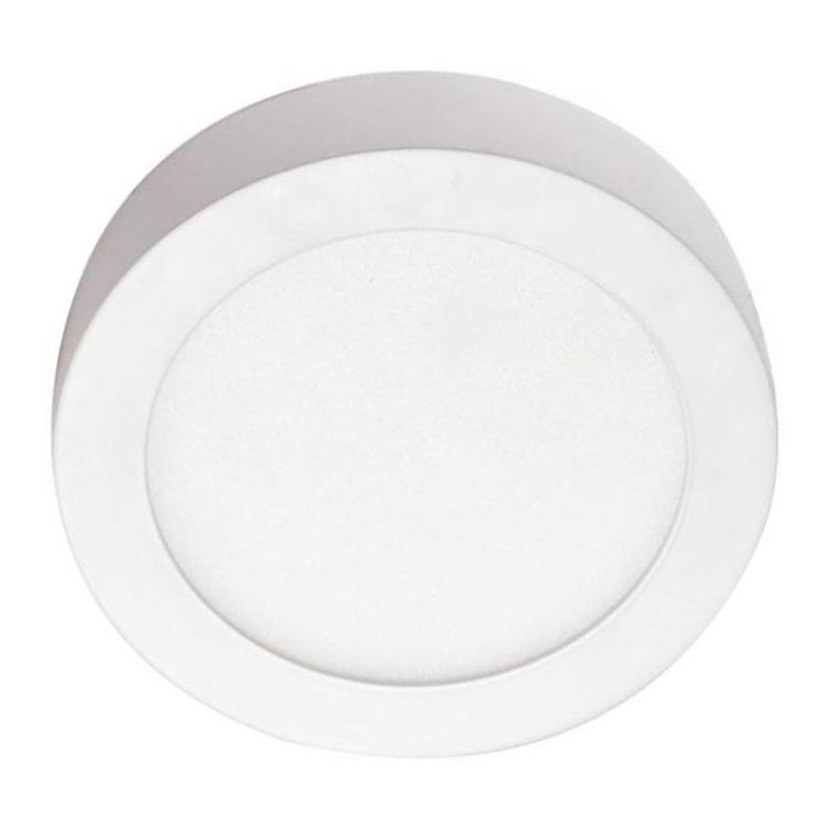 LED Stropna svjetiljka LED/12W/230V 4000K pr. 17,2 cm