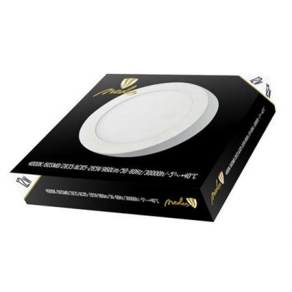 LED Stropna svjetiljka LED/12W/230V 4000K pr. 17,2 cm