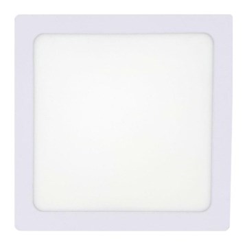 LED Stropna svjetiljka LED/12W/230V 4200K 16,3x16,3 cm bijela