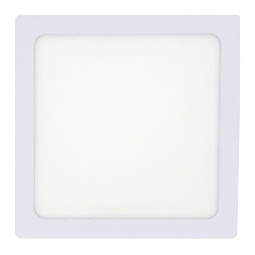 LED Stropna svjetiljka LED/12W/230V 4200K 16,3x16,3 cm bijela