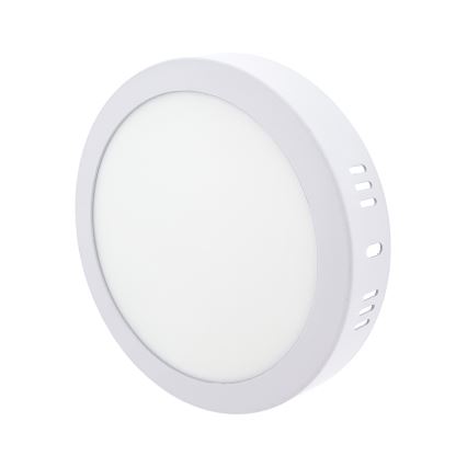 LED Stropna svjetiljka LED/12W/230V 4200K pr. 16 cm bijela