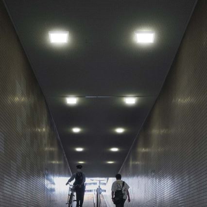 LED Stropna svjetiljka LED/12W/230V 6500K 16,7x16,7 cm bijela