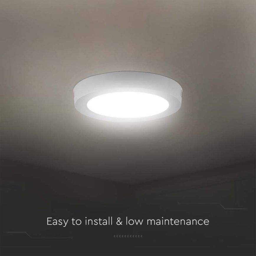 LED Stropna svjetiljka LED/12W/230V 6500K pr. 16,7 cm bijela