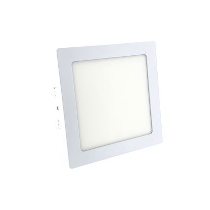 LED Stropna svjetiljka LED/12W/230V 6500K