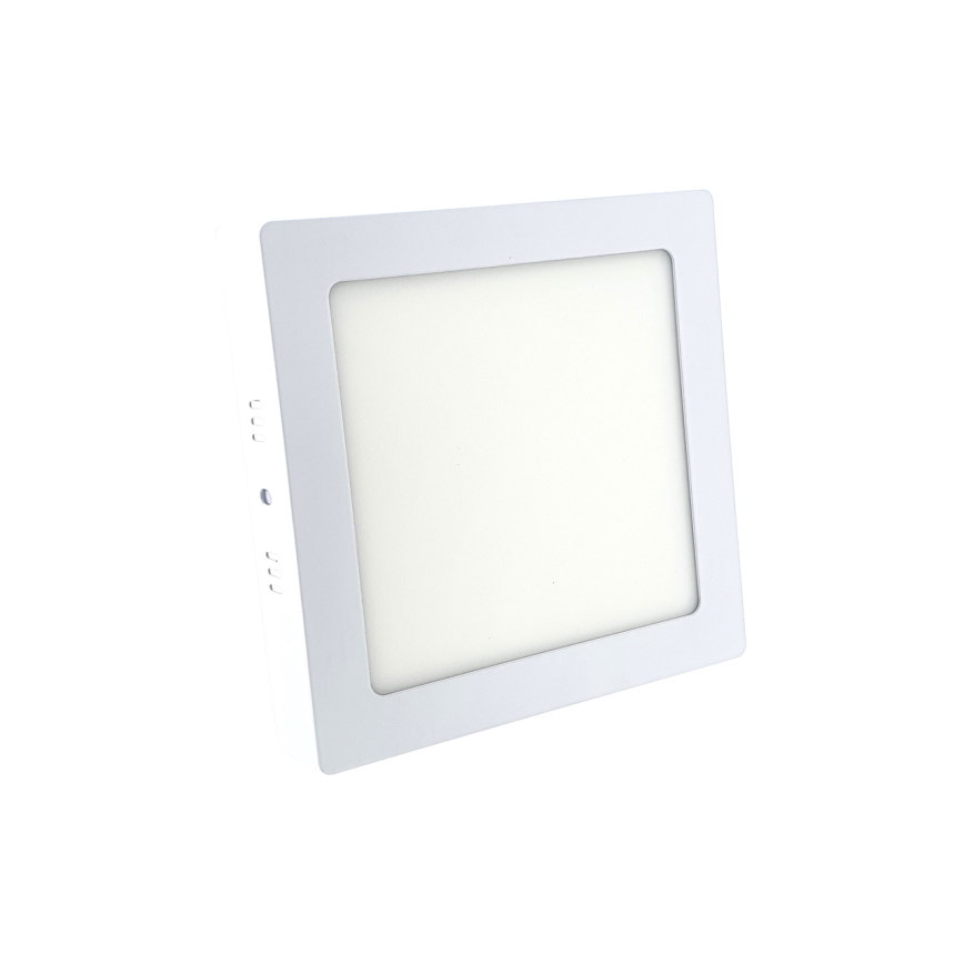 LED Stropna svjetiljka LED/12W/230V 6500K