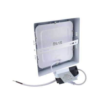 LED Stropna svjetiljka LED/12W/230V 6500K