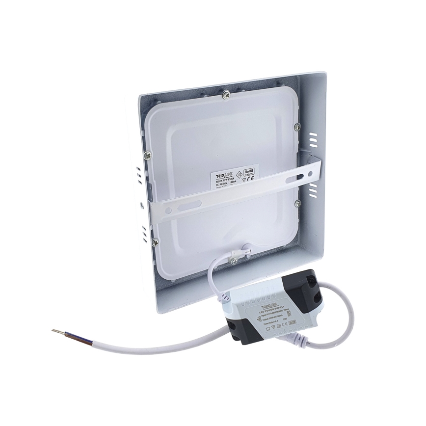 LED Stropna svjetiljka LED/12W/230V 6500K