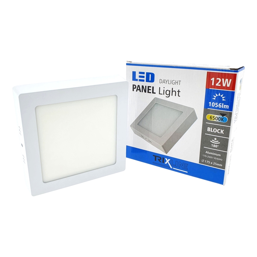 LED Stropna svjetiljka LED/12W/230V 6500K