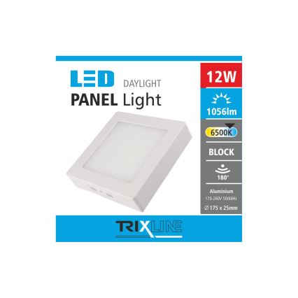 LED Stropna svjetiljka LED/12W/230V 6500K