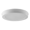 LED Stropna svjetiljka LED/12W/230V 6500K pr. 16,7 cm bijela