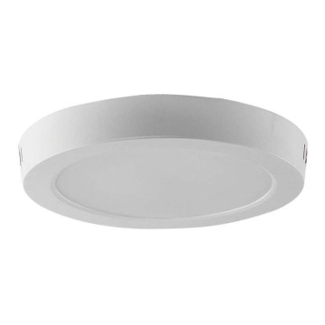 LED Stropna svjetiljka LED/12W/230V 6500K pr. 16,7 cm bijela