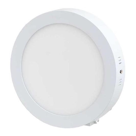 LED Stropna svjetiljka LED/12W/230V