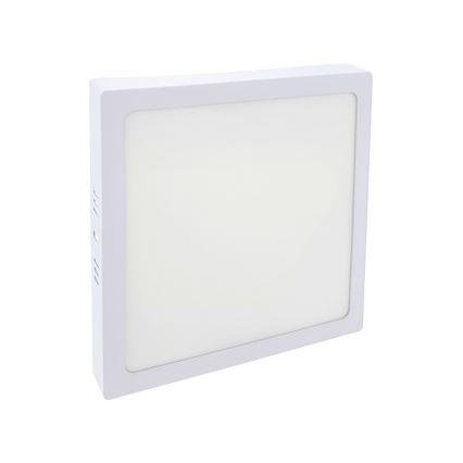 LED Stropna svjetiljka LED/18W/230V 2700K 21x21 cm bijela