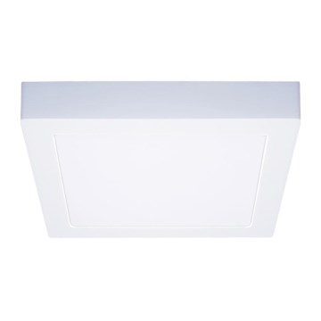 LED stropna svjetiljka LED/18W/230V 3000/4000/6000K 22,5x22,5 cm bijela