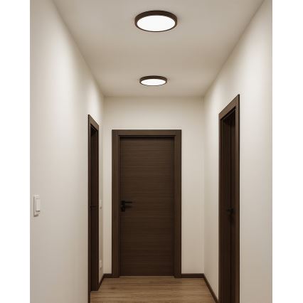 LED stropna svjetiljka LED/18W/230V 3000/4000/6500K pr. 23 cm smeđa