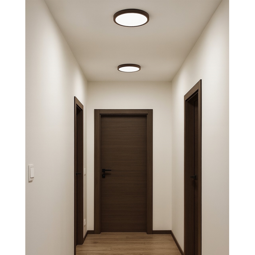 LED stropna svjetiljka LED/18W/230V 3000/4000/6500K pr. 23 cm smeđa
