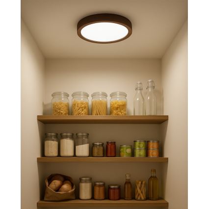 LED stropna svjetiljka LED/18W/230V 3000/4000/6500K pr. 23 cm smeđa