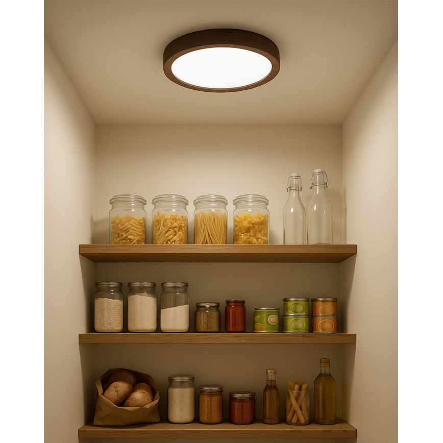 LED stropna svjetiljka LED/18W/230V 3000/4000/6500K pr. 23 cm smeđa