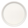 LED stropna svjetiljka LED/18W/230V 3000/4000/6500K promjer 23 cm bijela