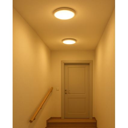 LED stropna svjetiljka LED/18W/230V 3000/4000/6500K promjer 23 cm bijela
