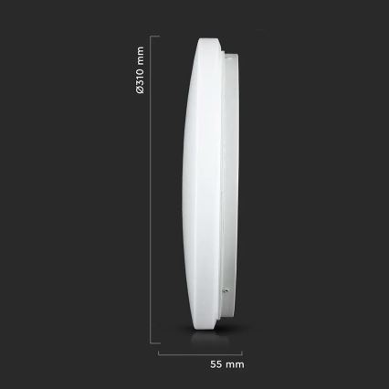 LED Stropna svjetiljka LED/18W/230V 31 cm 3000K/4000K/6400K