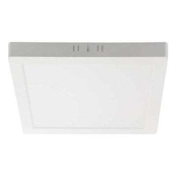 LED Stropna svjetiljka LED/18W/230V 4000K 21,4x,21,4 cm bijela