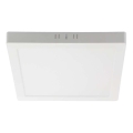LED Stropna svjetiljka LED/18W/230V 6500K 21,4x21,4 cm bijela