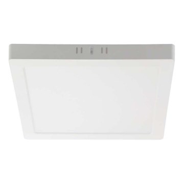 LED Stropna svjetiljka LED/18W/230V 6500K 21,4x21,4 cm bijela