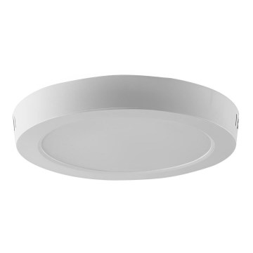 LED Stropna svjetiljka LED/18W/230V 6500K