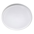 LED Stropna svjetiljka LED/18W/230V pr. 30 cm bijela