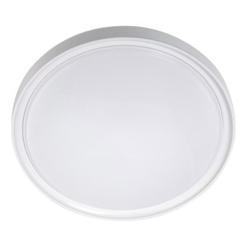LED Stropna svjetiljka LED/18W/230V pr. 30 cm bijela