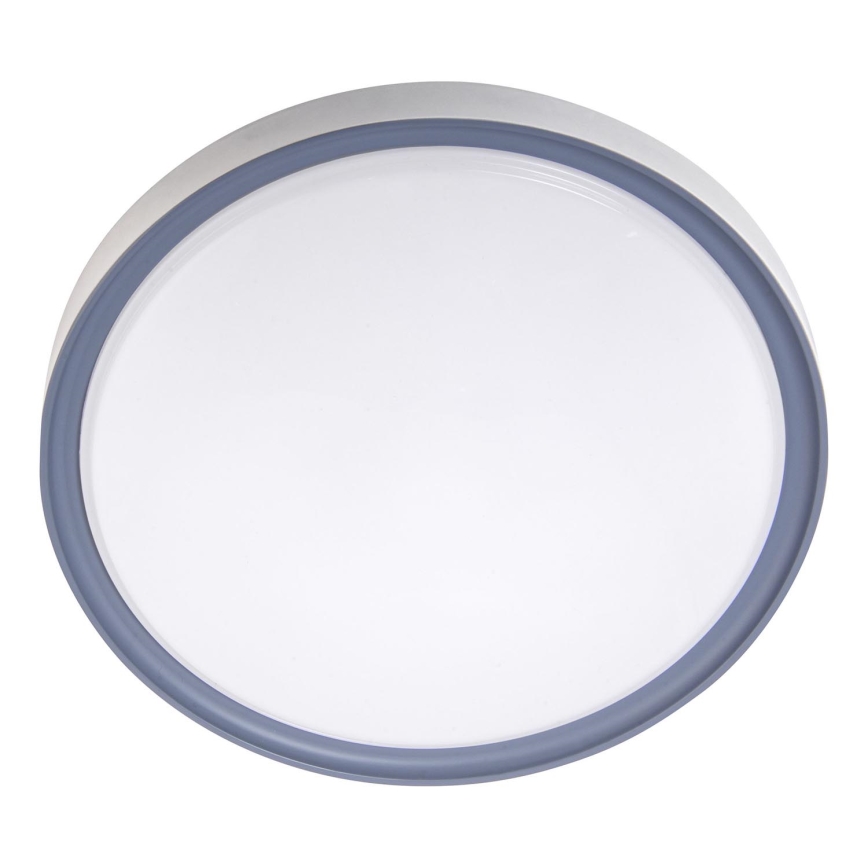 LED Stropna svjetiljka LED/18W/230V pr. 30 cm bijela/siva