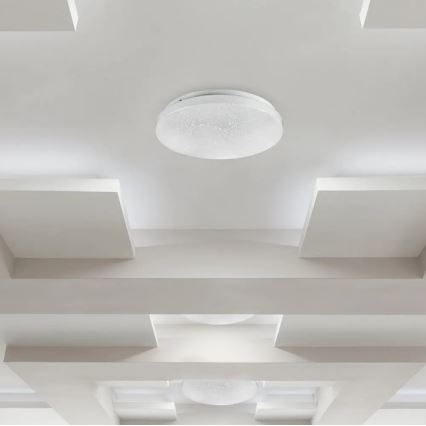 LED Stropna svjetiljka LED/18W/230V pr. 31 cm 3000/4000/6400K