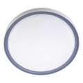 LED Stropna svjetiljka LED/18W/230V promjer 30 cm bijela/siva