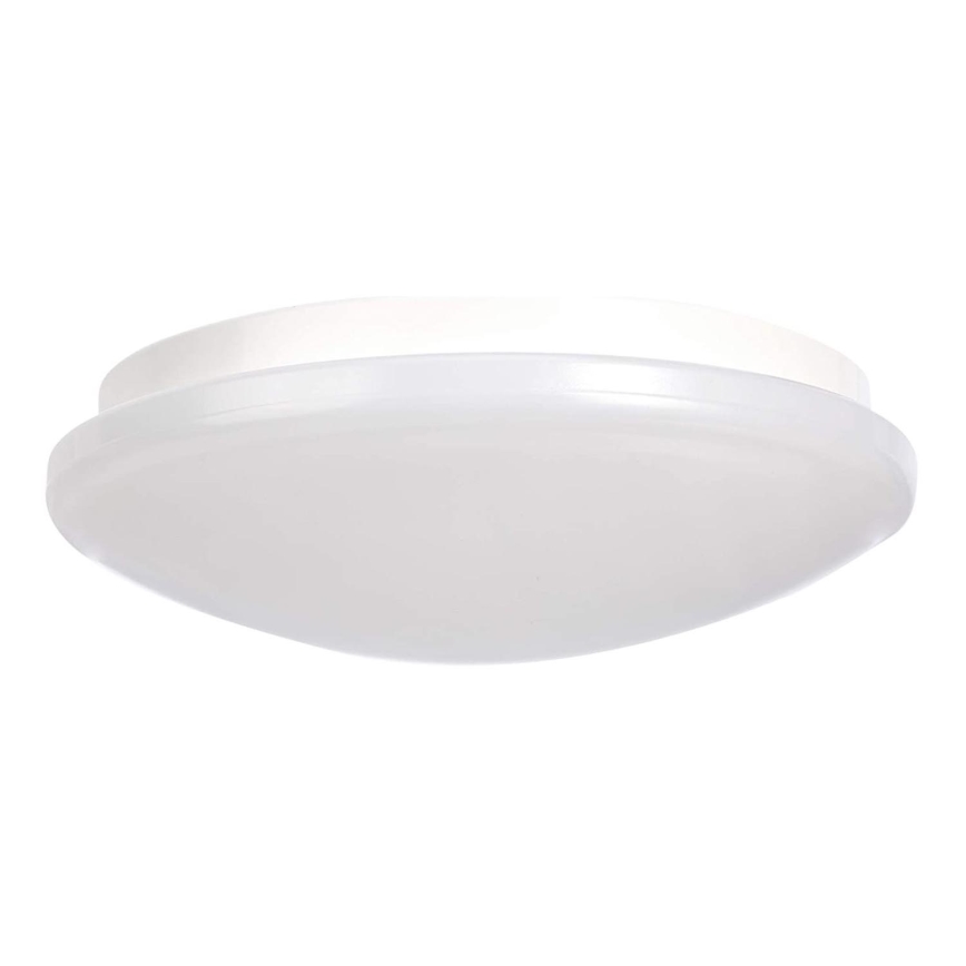 LED Stropna svjetiljka LED/20W/230V 2700K