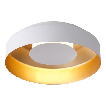 LED Stropna svjetiljka LED/20W/230V 3000K bijela
