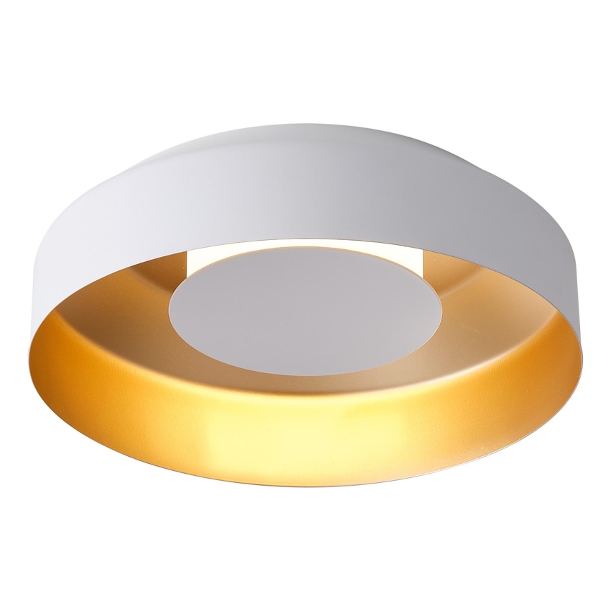 LED Stropna svjetiljka LED/20W/230V 3000K bijela