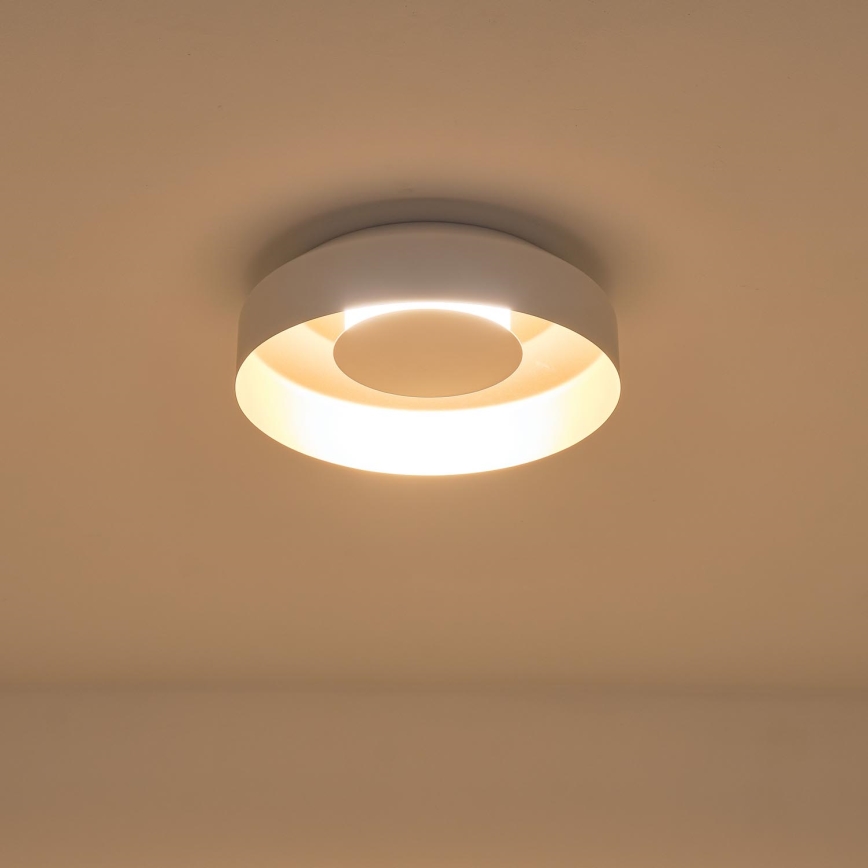 LED Stropna svjetiljka LED/20W/230V 3000K bijela