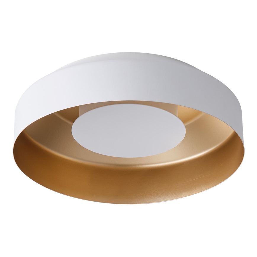 LED Stropna svjetiljka LED/20W/230V 3000K bijela