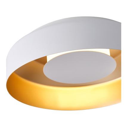 LED Stropna svjetiljka LED/20W/230V 3000K bijela