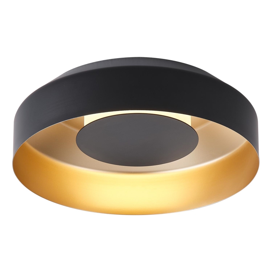 LED Stropna svjetiljka LED/20W/230V 3000K crna