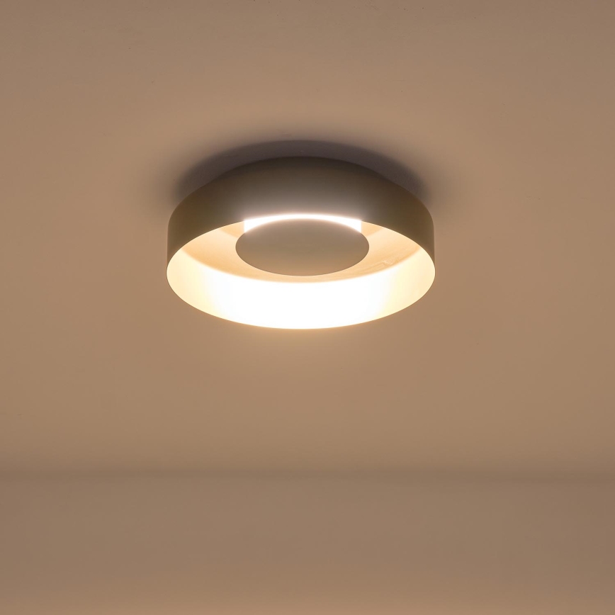 LED Stropna svjetiljka LED/20W/230V 3000K crna