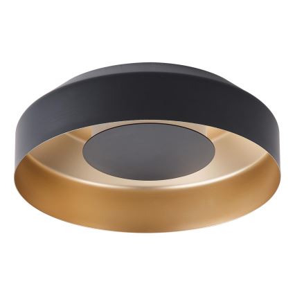 LED Stropna svjetiljka LED/20W/230V 3000K crna