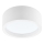 LED Stropna svjetiljka LED/21W/230V bor