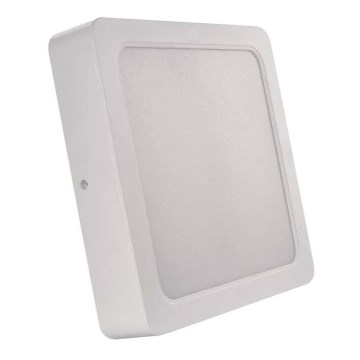 LED Stropna svjetiljka LED/24W/230V 22x22 cm bijela