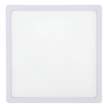 LED Stropna svjetiljka LED/24W/230V 2700K 28x28 cm bijela