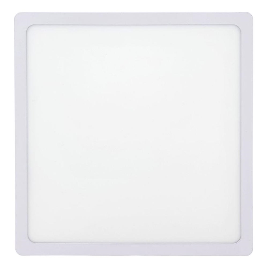 LED Stropna svjetiljka LED/24W/230V 2700K 28x28 cm bijela