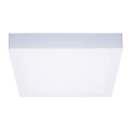 LED stropna svjetiljka LED/24W/230V 3000/4000/6000K 30x30 cm bijela