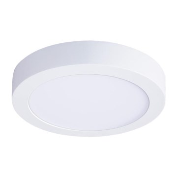 LED stropna svjetiljka LED/24W/230V 3000/4000/6000K Ø 30 cm bijela